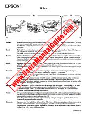Vezi Stylus CX3200 pdf Notă de despachetare