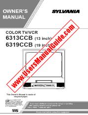 Visualizza 6319CCB pdf Manuale dell'utente del televisore 19 inch 