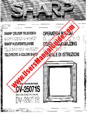 View DV-25071S/28071S pdf Operation Manual, extract of language Italian