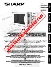 Vezi R-613 pdf Manualul de funcționare și Carte de bucate, extract de limba italiană