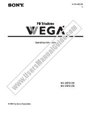 Voir KV-20FS120 pdf Mode d'emploi (manuel primaire)