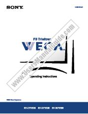View KV-32FV300 pdf Operating Instructions  (primary manual)
