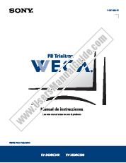 Vezi KV-34DRC500 pdf Manual de Instrucciones