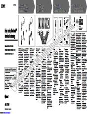 Ansicht MEX-BT5000 pdf Kurzanleitung (Englisch, Spanisch)