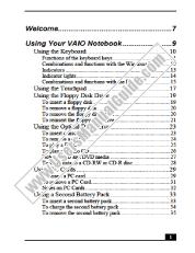 Ver PCG-FX310 pdf Manual de usuario principal