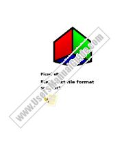 Voir PEG-NZ90 pdf Picsel PLAIN fichier de test en charge du format