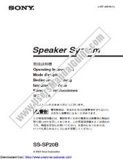 View PFM-42X1S pdf Speaker System Operating Instructions (English/Espanol)
