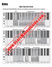 Vezi CLP-110 pdf Ghid de operare rapidă