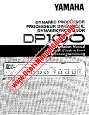 Visualizza DP100 pdf Manuale del proprietario (immagine)