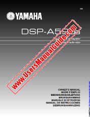 View DSP-A595a pdf OWNER'S MANUAL