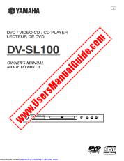 Vezi DV-SL100 pdf Manualul proprietarului