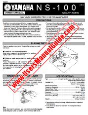 Visualizza NS-100 pdf MANUALE DEL PROPRIETARIO