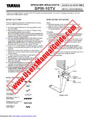 Vezi NS-10TV pdf MANUAL DE