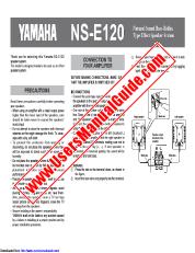 Visualizza NS-E120 pdf MANUALE DEL PROPRIETARIO