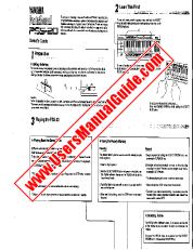 Vezi PSS-20 pdf Manualul proprietarului (imagine)